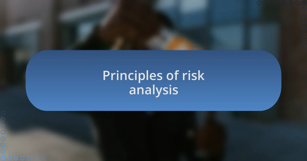 Principles of risk analysis