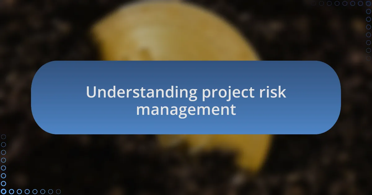 Understanding project risk management