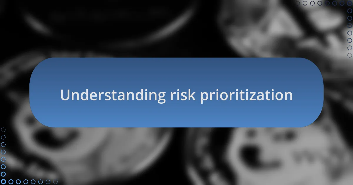 Understanding risk prioritization